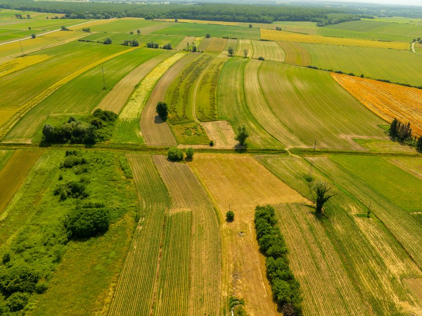 Área rural para plantio