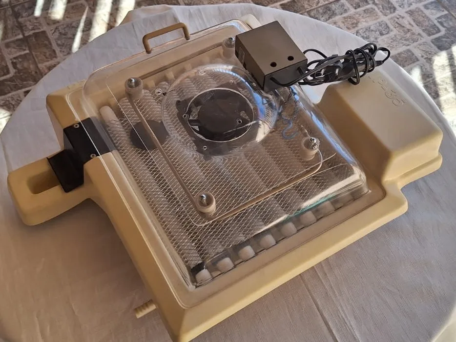 Vendo Chocadeira Premium Ecológica IP35, em excelente estado de funcionamento, ideal para quem deseja iniciar ou ampliar a criação de aves com praticidade e alta taxa de eclosão.

Características
✅